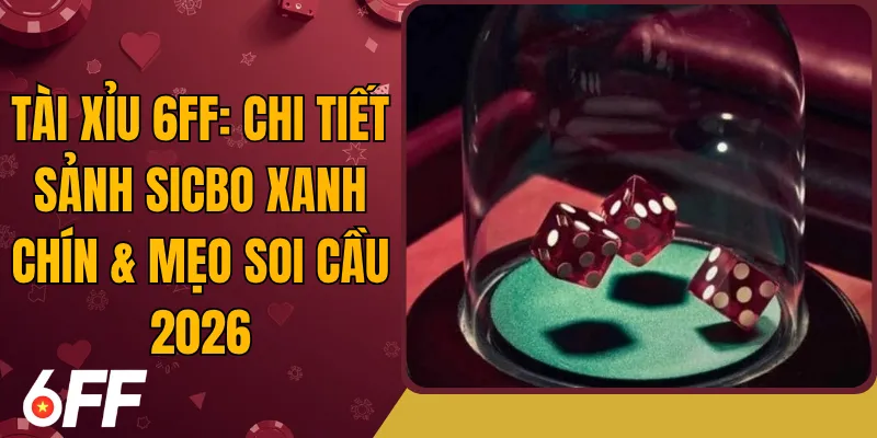Tài Xỉu 6FF: Chi Tiết Sảnh Sicbo Xanh Chín & Mẹo Soi Cầu 2026