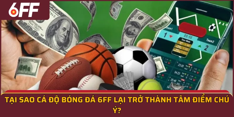 Tại sao cá độ bóng đá 6FF lại trở thành tâm điểm chú ý?
