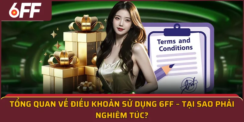 Tổng quan về Điều khoản sử dụng 6FF – Tại sao phải nghiêm túc?